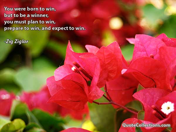 Zig Ziglar Quotes1